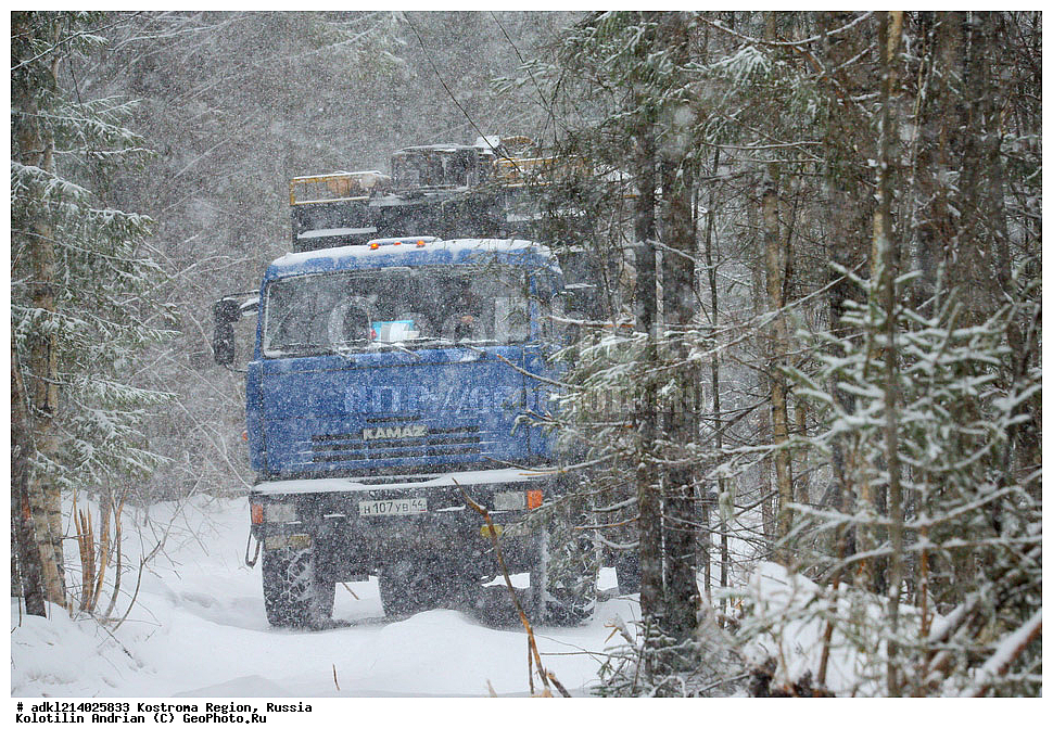 ����������� �������, ��������������� ��������� ���������� ������������ ���, ���������� ������������ ���, ������, ��������� ����