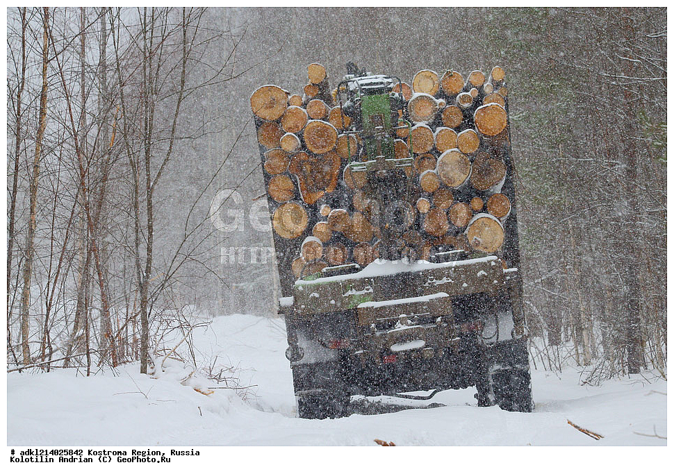 ����������� �������, ��������������� ��������� ���������� ������������ ���, ���������� ������������ ���, ������, ��������� ����