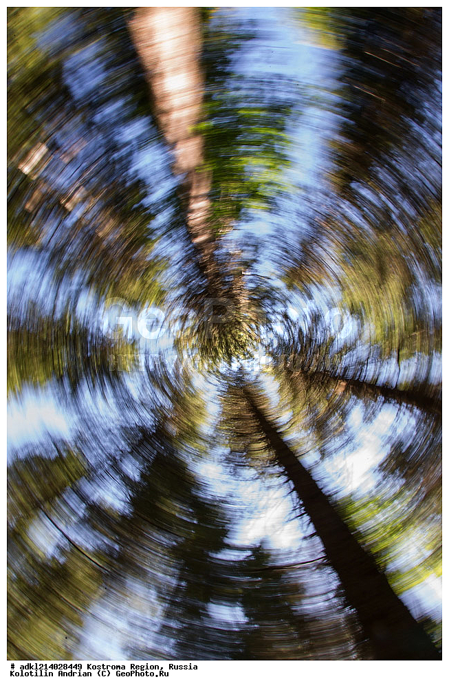 ����������� �������, ��������������� ��������� ���������� ������������ ���, ���������� ������������ ���, ������, ������ ���