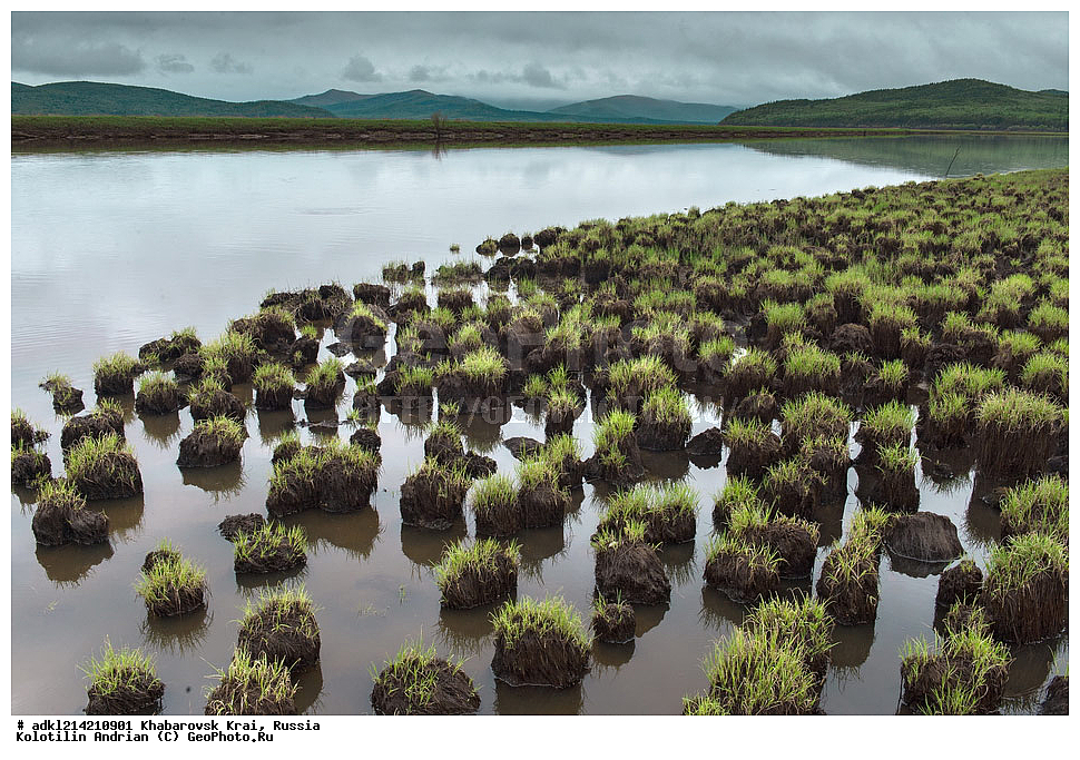 ����������� ����, ������������� ����������, ������������� ��������������� ��������� ����������, ������, ��������, ���, ���������, �������-����������� ��������, ����, �����