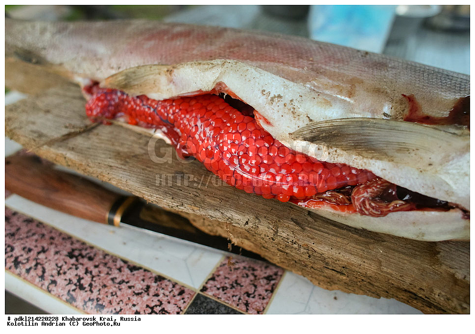 ����������� ����, ������������� ����������, ������������� ��������������� ��������� ����������, ������, �������� ���� �� ����� - ������� ����