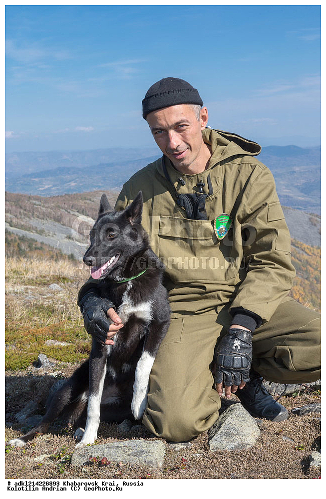 ����������� ����, ������������� ����������, ������������� ��������������� ��������� ����������, ������, ������ ����������� �����������