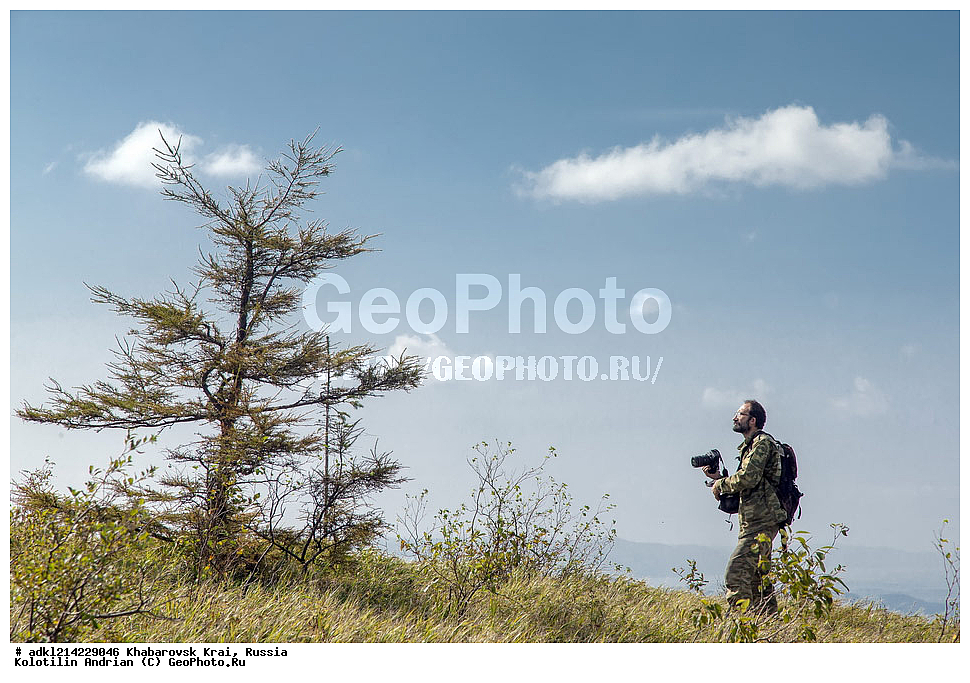 ����������� ����, ������������� ����������, ������������� ��������������� ��������� ����������, ������, ������ ����������� �����������