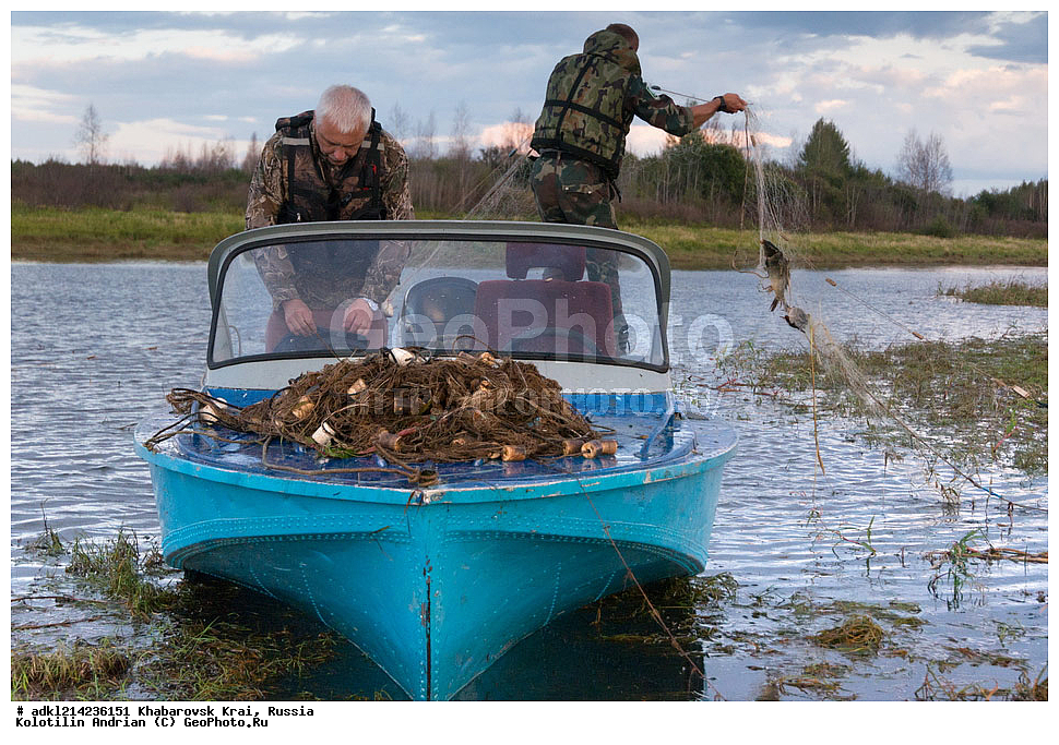 ����������� ����, ������������� ����������, ������������� ��������������� ��������� ����������, ������, ������ ����������� �����������, ����������� ������������� �����