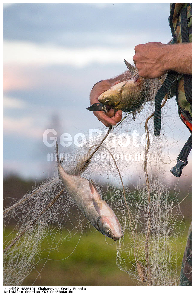 ����������� ����, ������������� ����������, ������������� ��������������� ��������� ����������, ������, ������ ����������� �����������, ����������� ������������� �����