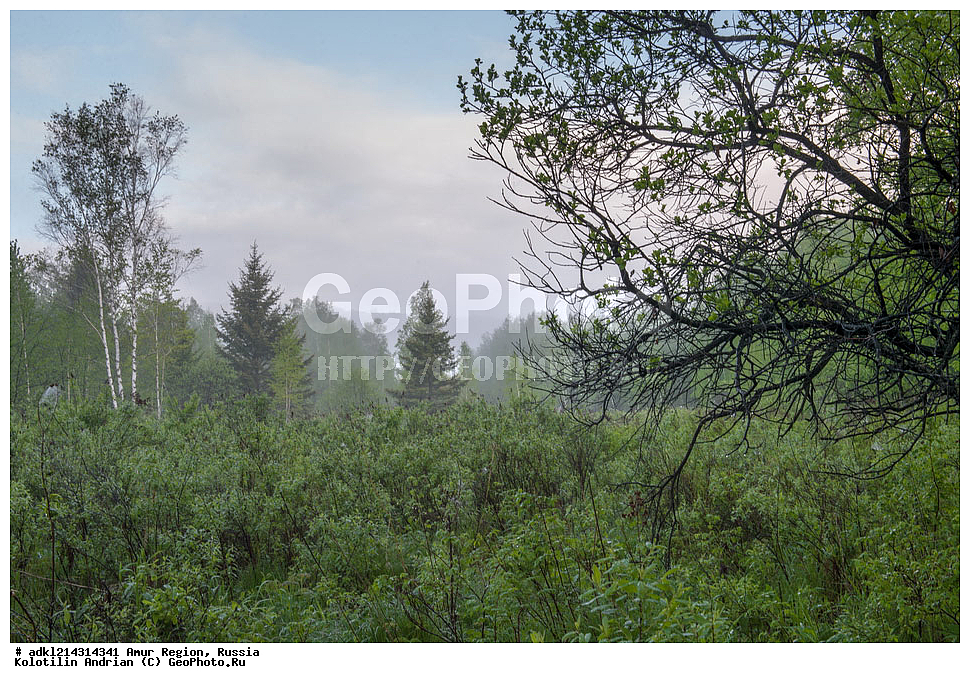 �������� �������, ���������� ����������, ������, ���������������� ���, ��������