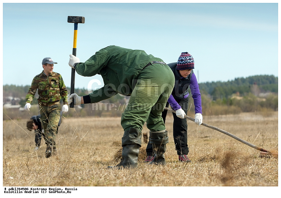 �����, �������, �����, ����, ����, ����������� �������, ������, ��������������� ��������� ���������� ������������ ���, ���������� ������������ ���, ������� ��������, ������������ �����, ������, �����, ��������, ��������, ��������, �����, �����, ��������, �����������, �����������������, ������������� �����, ������������� �����, XYZ, ������, Anatidae, ��������� ����, ���������, Anser albifrons, ��������