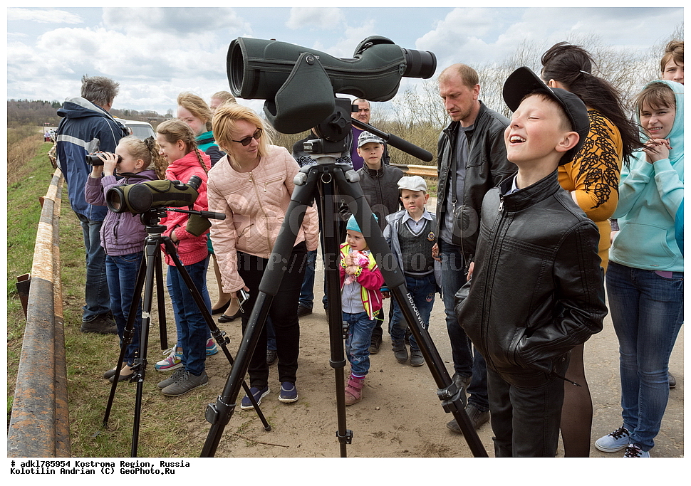 ��������, ���� ����, ����������� �������, ������