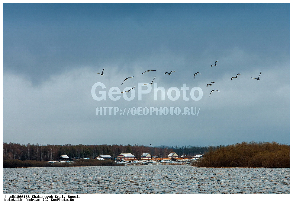 �������, ��������, �����, �����, ������������� ����������, ������������� ��������������� ��������� ����������, ����������� ����, ������, ������� ������ ������