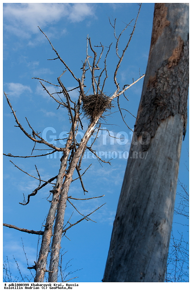 �������, ��������, �����, �����, ������������� ����������, ������������� ��������������� ��������� ����������, ����������� ����, ������, ������� ������ ������