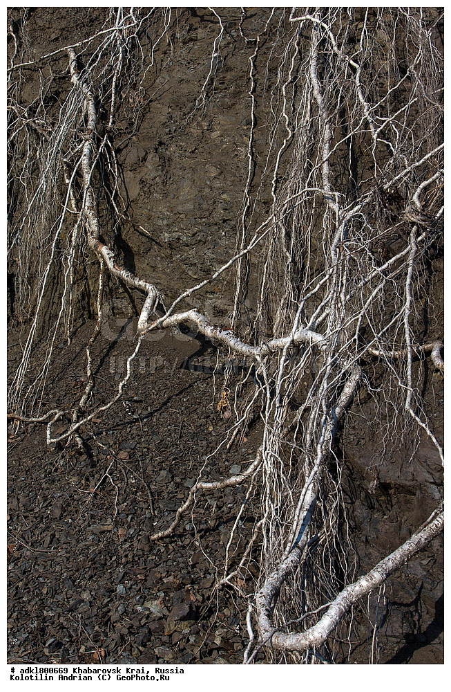 �������, ��������, �����, �����, ������������� ����������, ������������� ��������������� ��������� ����������, ����������� ����, ������, ������� ������ ������