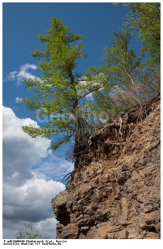 �������, ��������, �����, �����, ������������� ����������, ������������� ��������������� ��������� ����������, ����������� ����, ������, ������� ������ ������