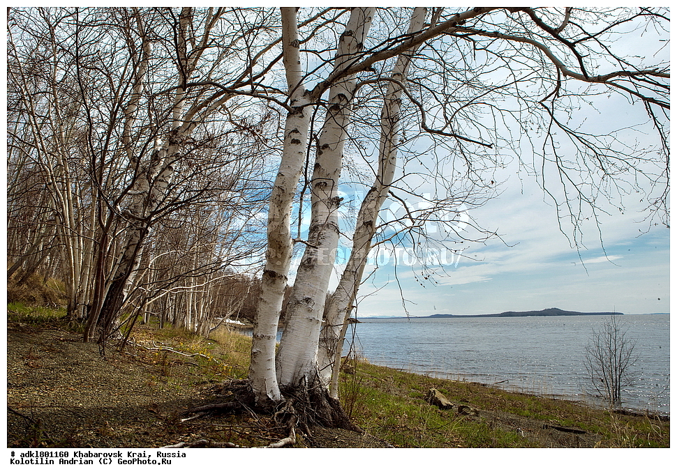 �������, ��������, �����, �����, ������������� ����������, ������������� ��������������� ��������� ����������, ����������� ����, ������, ������� ������ ������