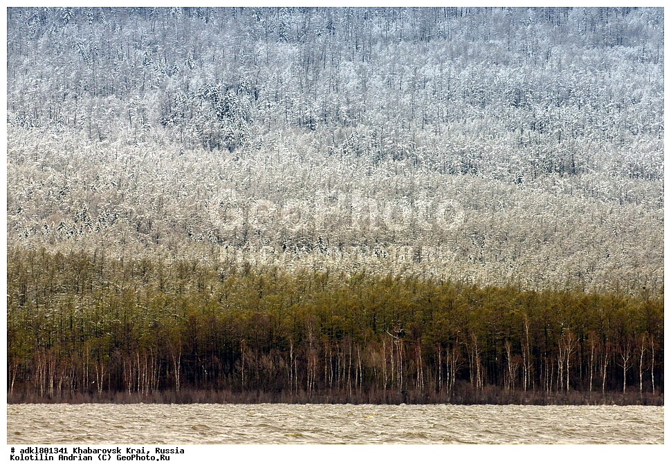 �������, ��������, �����, �����, ������������� ����������, ������������� ��������������� ��������� ����������, ����������� ����, ������, ������� ������ ������