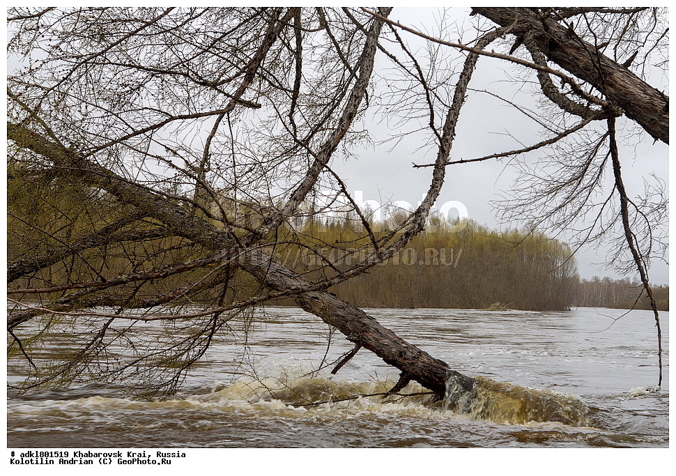 �������, ��������, �����, �����, ������������� ����������, ������������� ��������������� ��������� ����������, ����������� ����, ������, ������� ������ ������