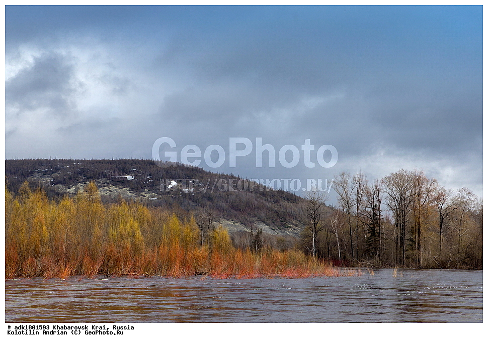 �������, ��������, �����, �����, ������������� ����������, ������������� ��������������� ��������� ����������, ����������� ����, ������, ������� ������ ������