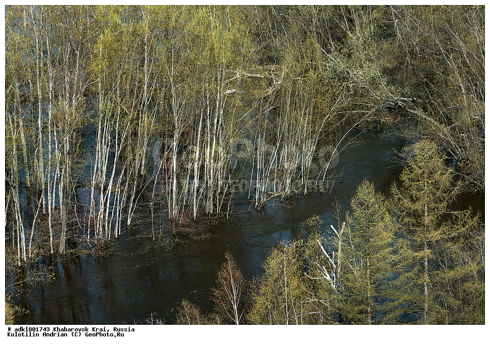 �������, ��������, �����, �����, ������������� ����������, ������������� ��������������� ��������� ����������, ����������� ����, ������, ������� ������ ������