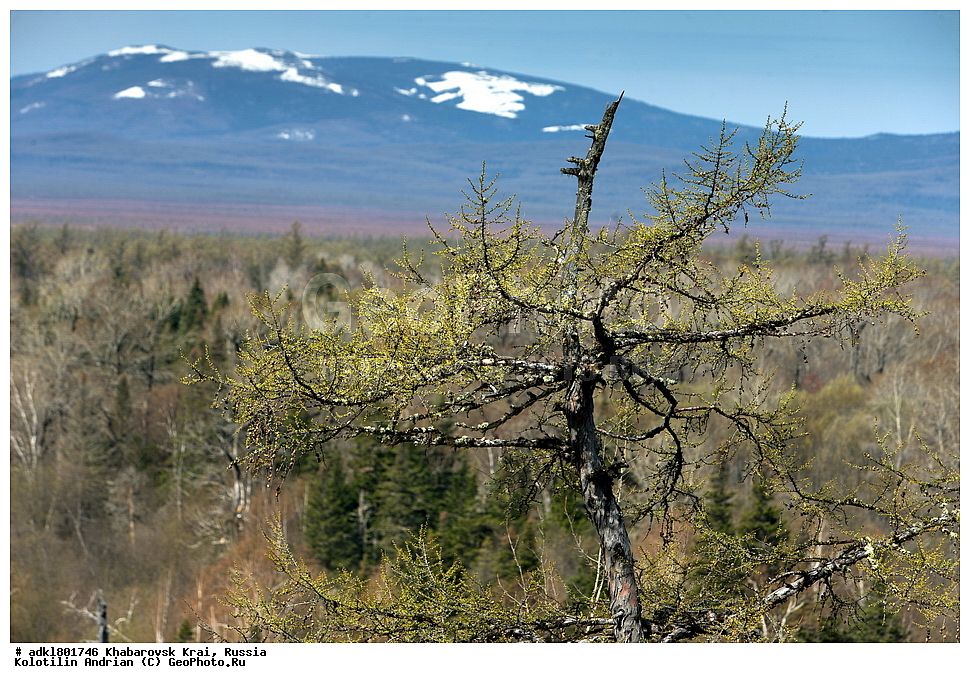 �������, ��������, �����, �����, ������������� ����������, ������������� ��������������� ��������� ����������, ����������� ����, ������, ������� ������ ������