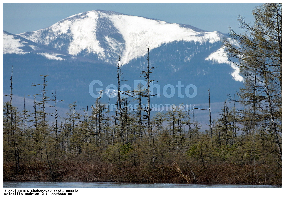 �������, ��������, �����, �����, ������������� ����������, ������������� ��������������� ��������� ����������, ����������� ����, ������, ������� ������ ������