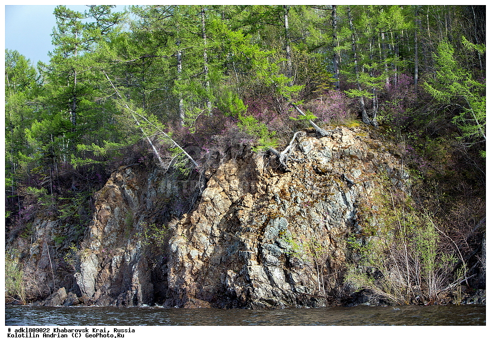 �������, ��������, �����, �����, ������������� ����������, ������������� ��������������� ��������� ����������, ����������� ����, ������, ������� ������ ������