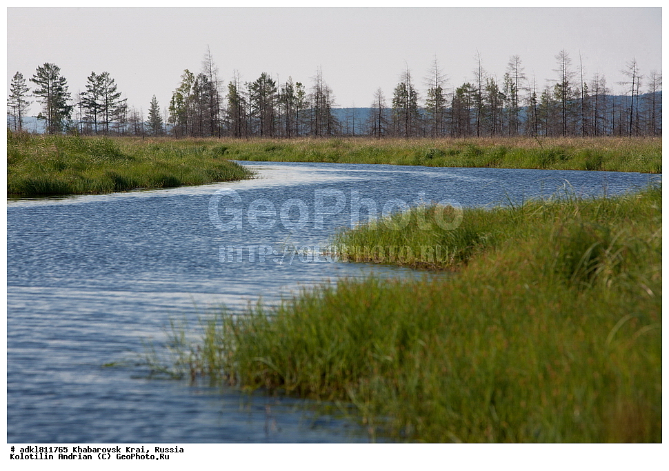 �������, �������� �������������, ����� ��������, ������������� ����������, ������������� ��������������� ��������� ����������, ����������� ����, ������� ������ ������, ������