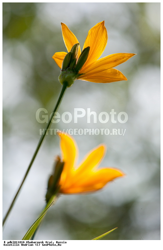 �������� �������������, ����� ��������, ������������� ����������, ������������� ��������������� ��������� ����������, ����������� ����, ������� ������ ������, ������