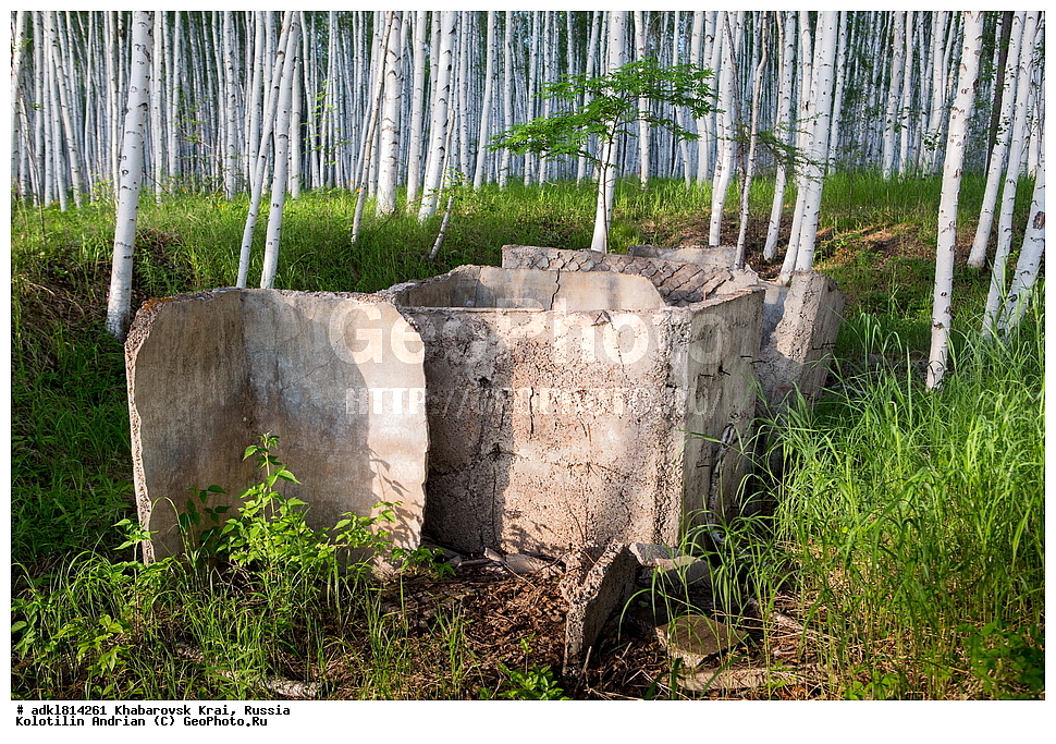 �������, �������� �������������, ����� ��������, ������������� ����������, ������������� ��������������� ��������� ����������, ����������� ����, ������� ������ ������, ������