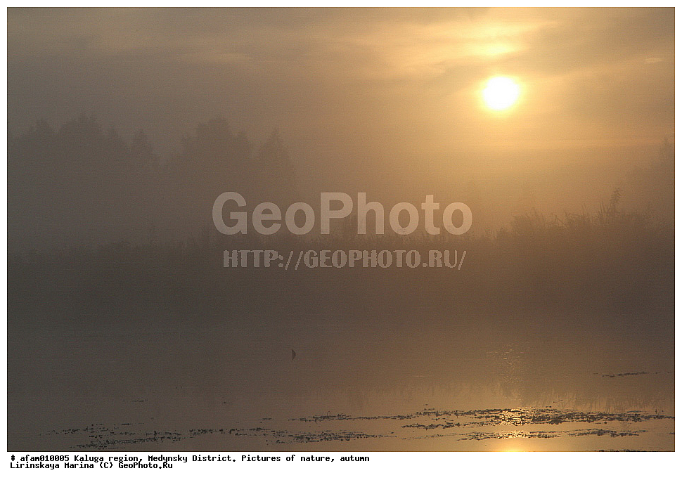 ��������� �������, ��������� �����, �������,�����, �����, ����, �����