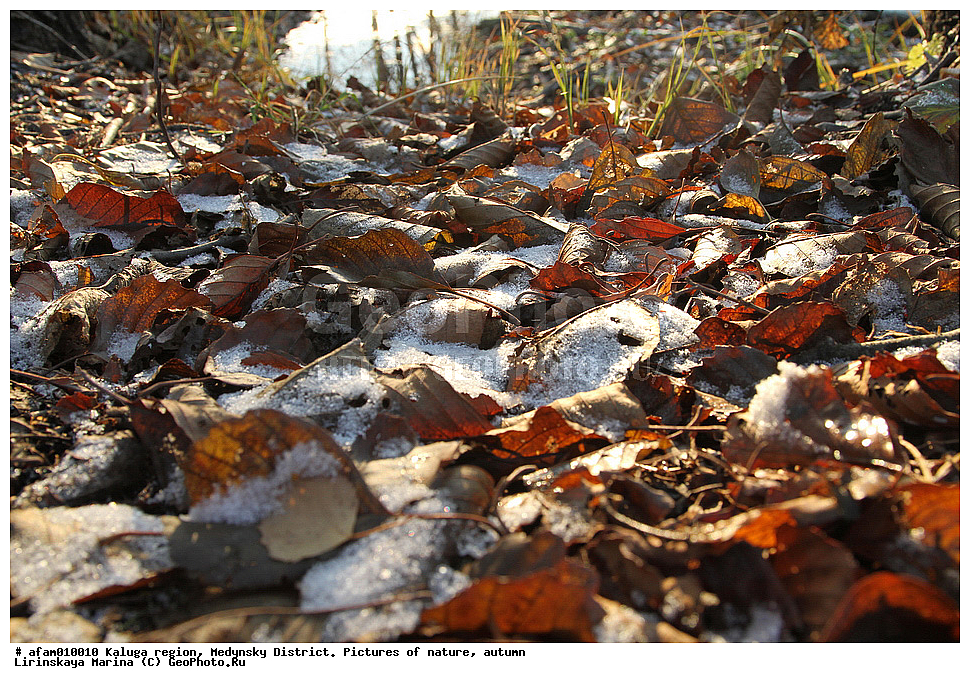 ��������� �������, ��������� �����, �������, ������, ������ ���������, �����