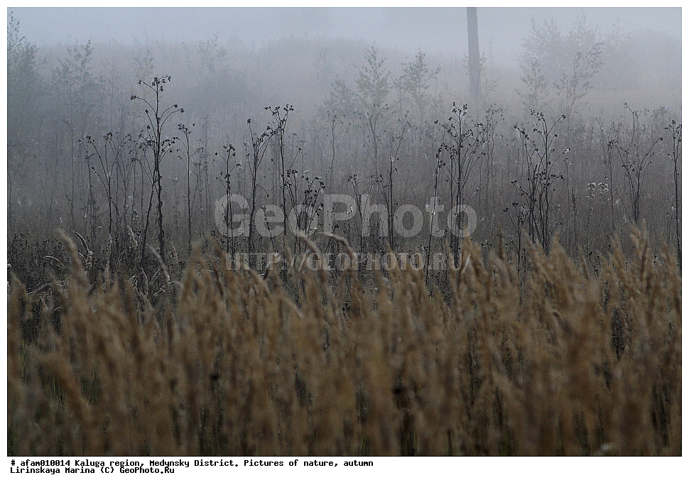 ��������� �������, ��������� �����, �������, �����, �������� ����, �����