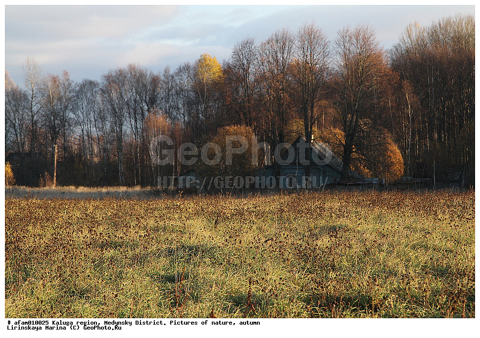 ��������� �������, ��������� �����, �������, ����, ������� ���, ����������� ���, �����