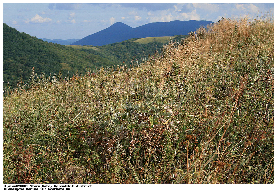 �������� ������, ������������� �����, ������, ����, �����, ������