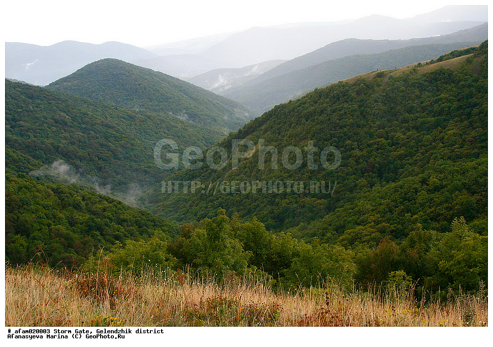 �������� ������, ������������� �����, ������, ����, �����, ������