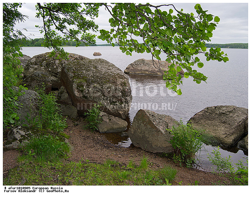 ������������� �������, ������, �������