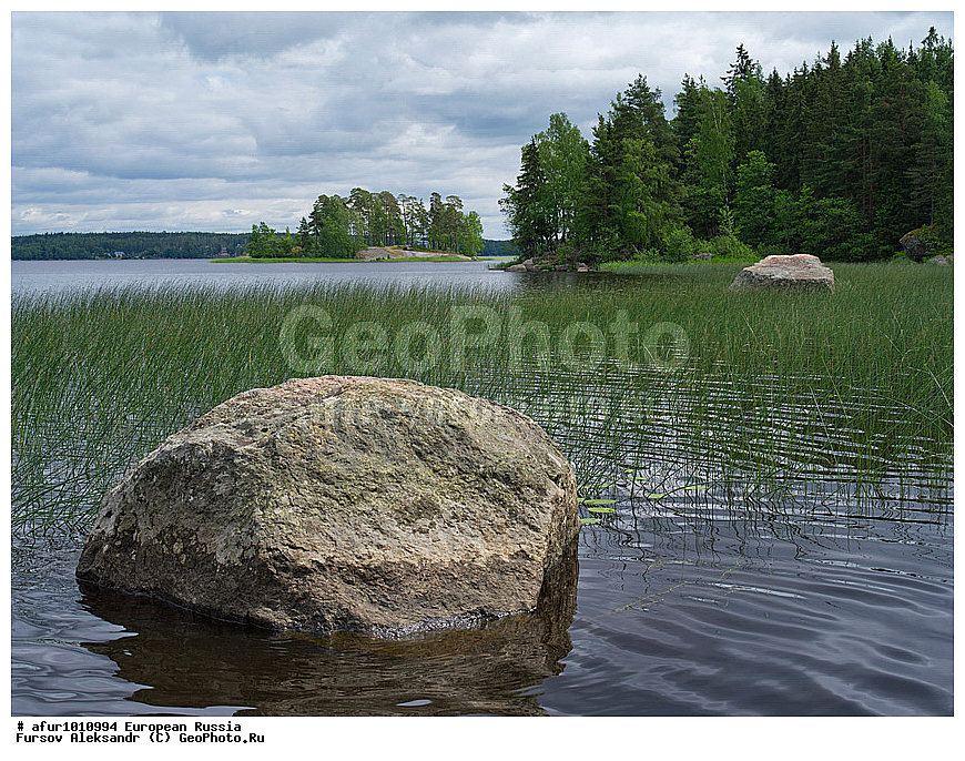 ������������� �������, ������, �������