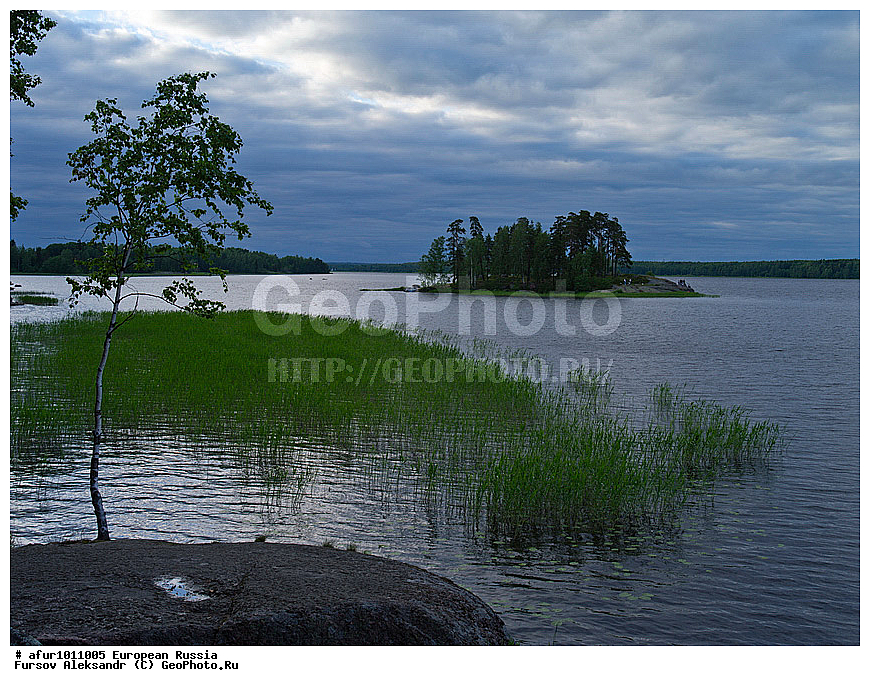 ������������� �������, ������, �������