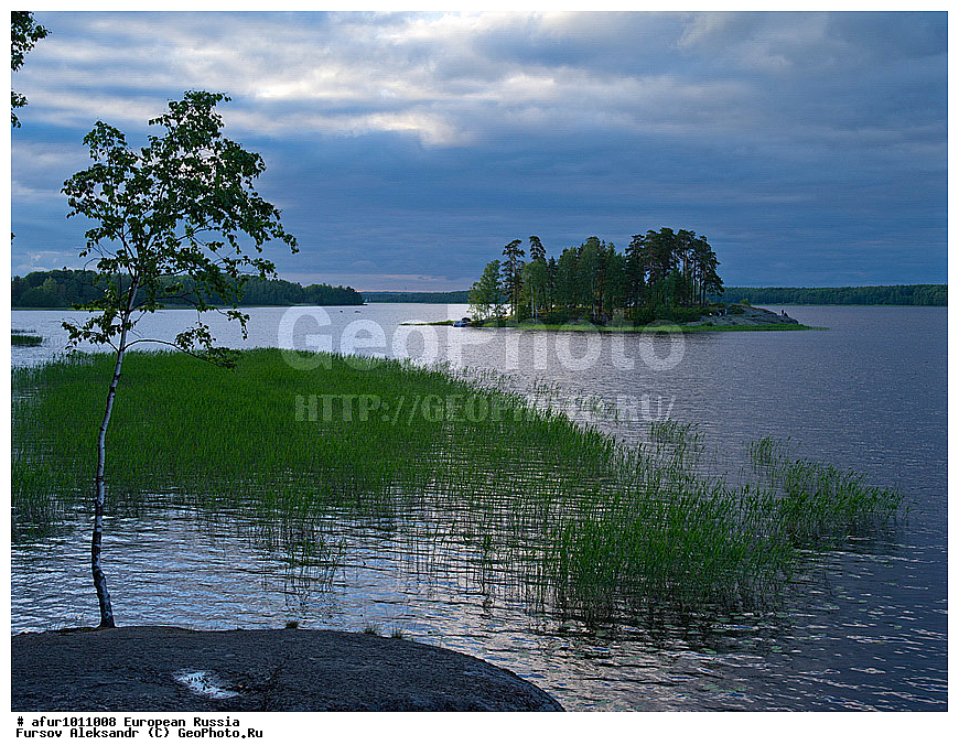 ������������� �������, ������, �������