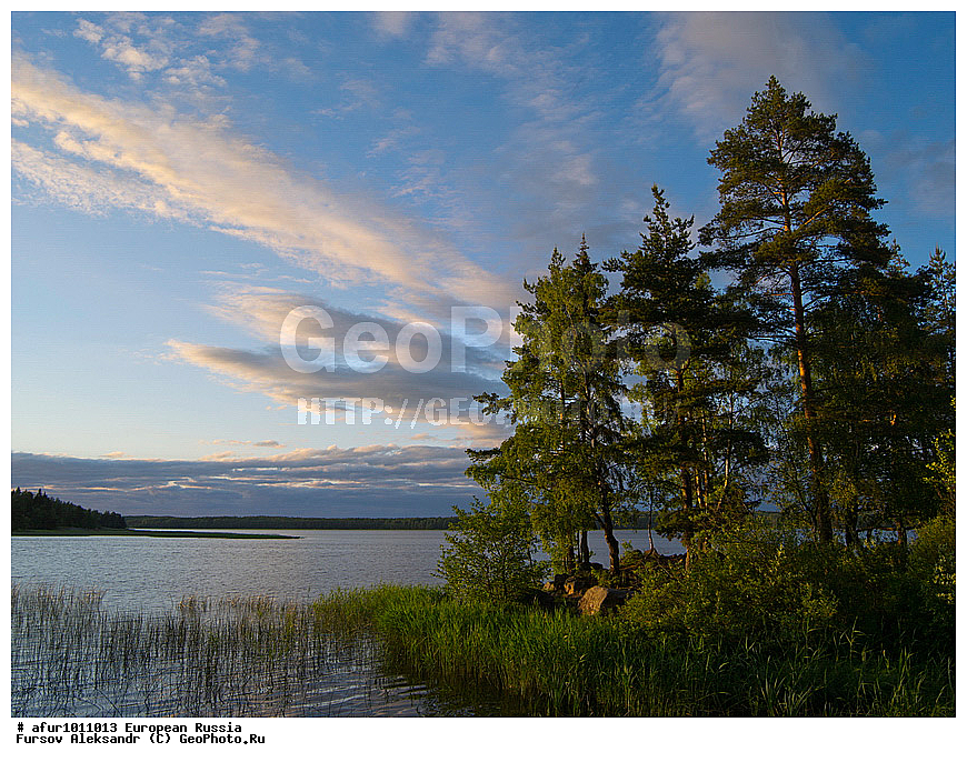 ������������� �������, ������, �������