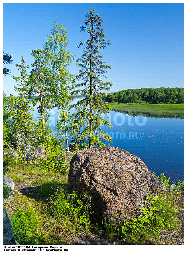 ������������� �������, ������, �������