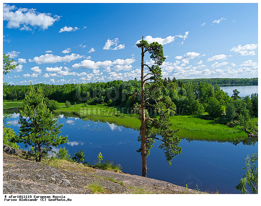 ������������� �������, ������, �������