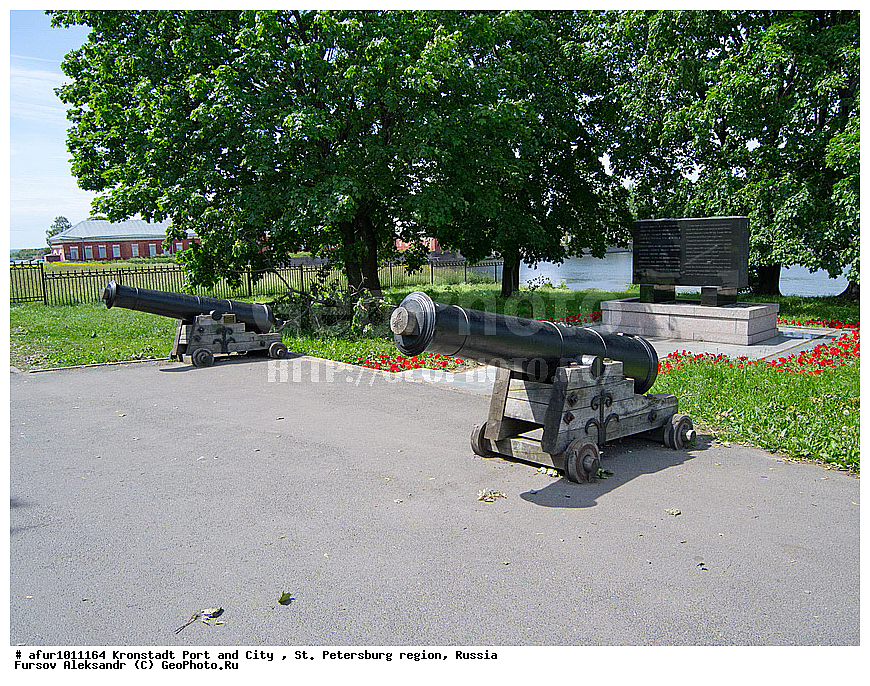 ����� ���������, ���������