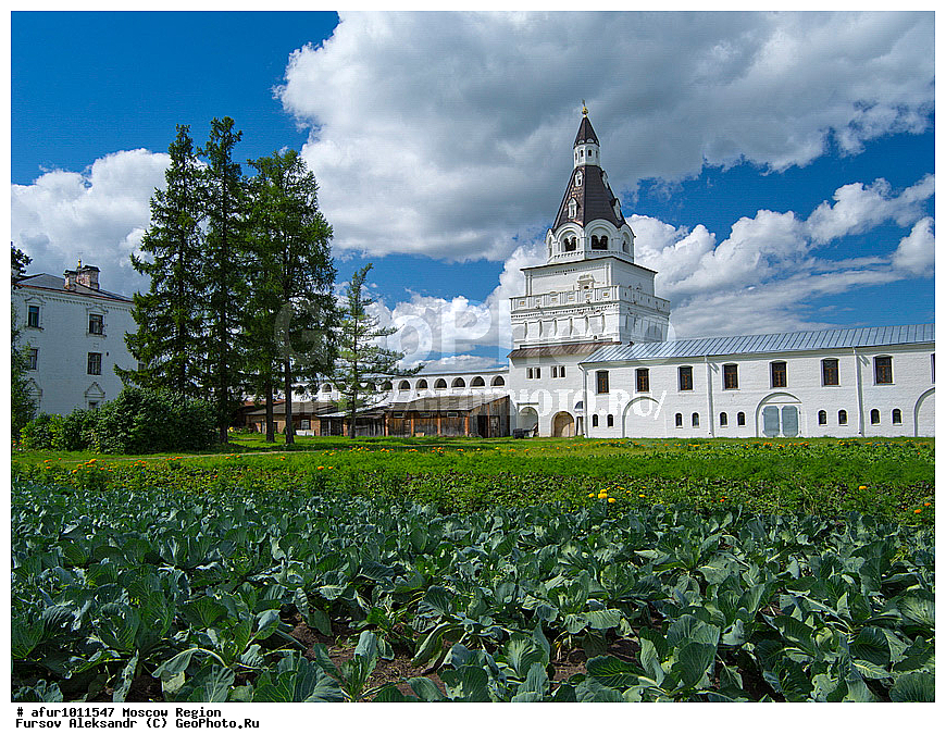 �����������, �����, �������, ����, ������������, �������, �����������, ���������� �������, ������-������������� ��������� ���������, ��������-�������� ���������, �������