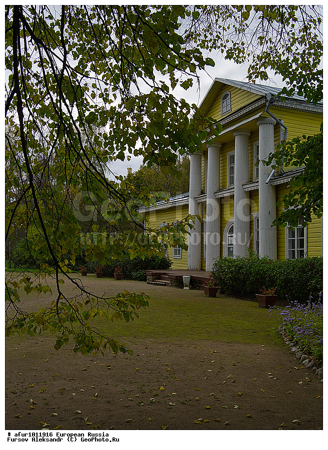 ��������� �������, �������, ������� �����������, �����-���������� �.�. �����������,