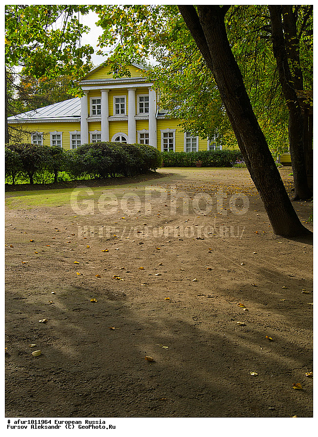 ��������� �������, �������, ������� �����������, �����-���������� �.�. �����������,