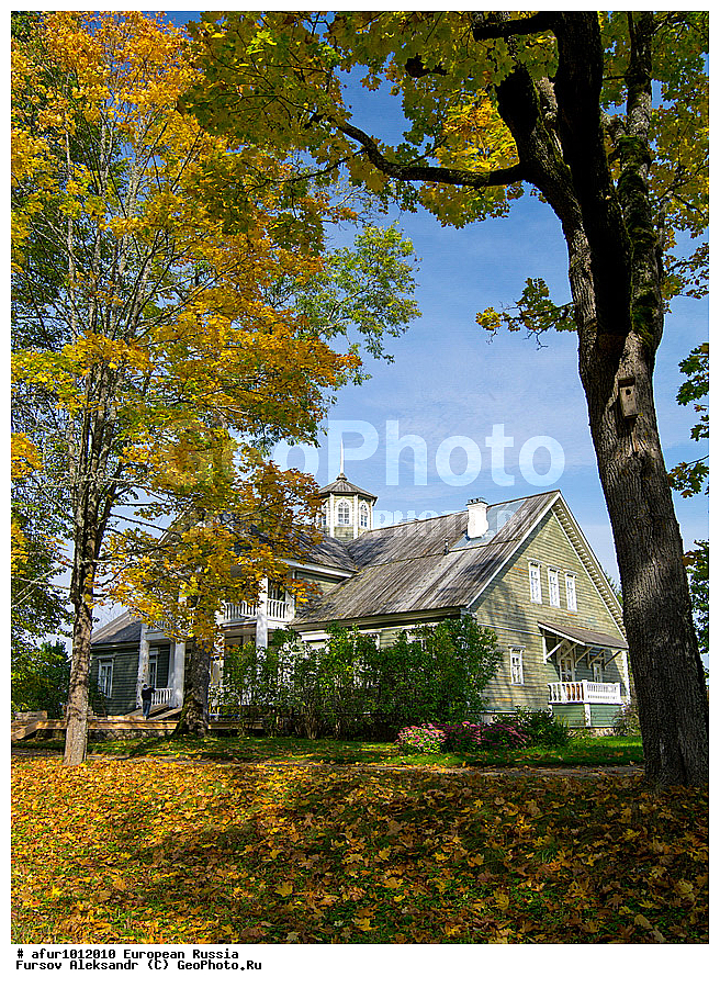 ��������� ������� ������������, ���������� ����