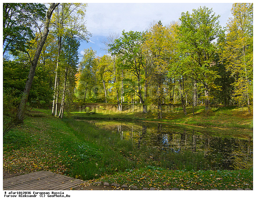 ��������� ������� ������������, ���������� ����