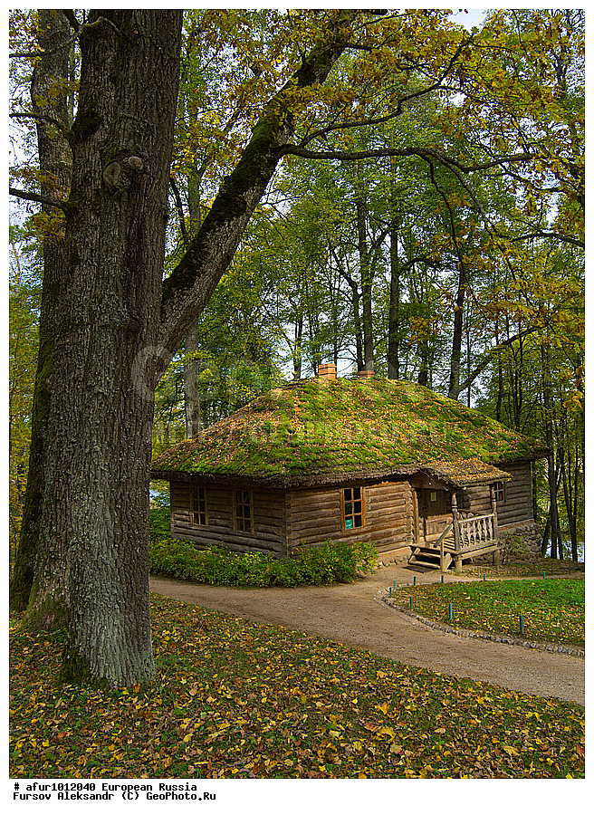 ��������� ������� ������������, ���������� ����