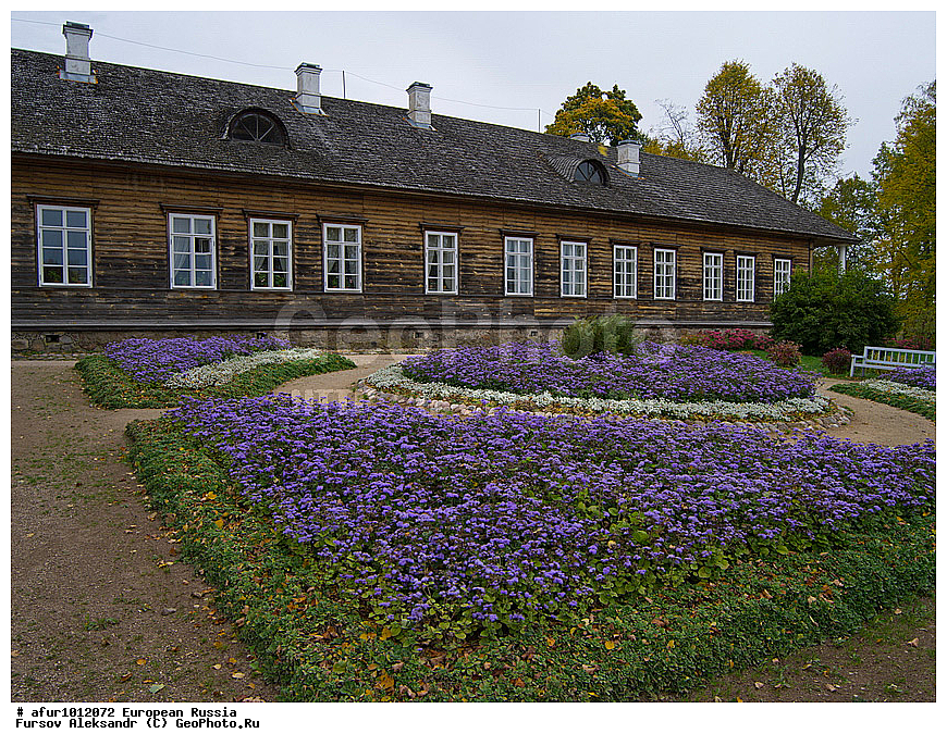 ��������� ������� ������������, ���������� ����