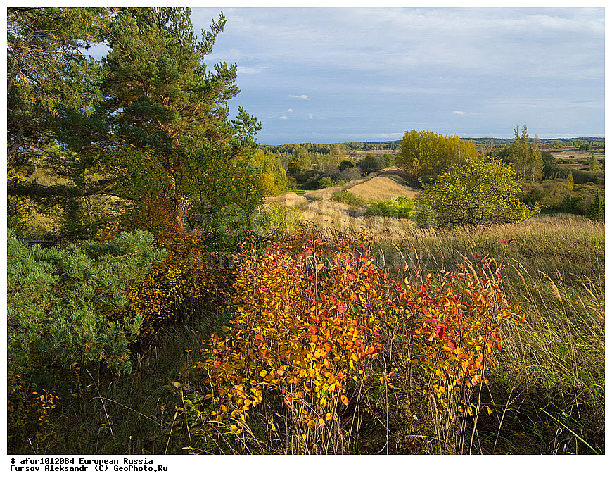 ��������� ������� ������������, ���������� ����