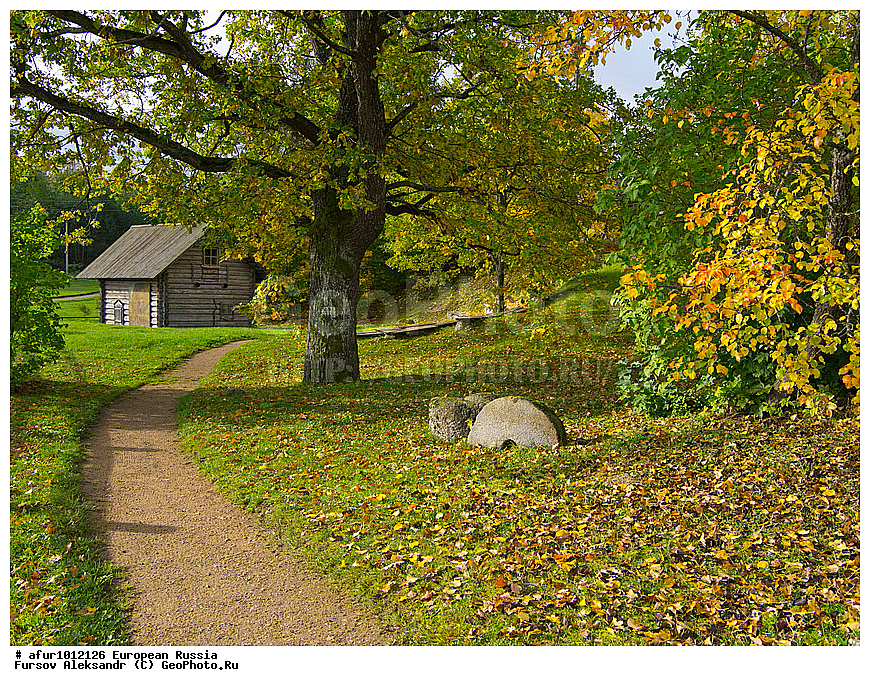 ��������� ������� ������������, ���������� ����